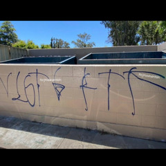 Real Oc Gangsters