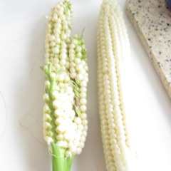 Corny as Sounds/Pops like Son/Long As Around