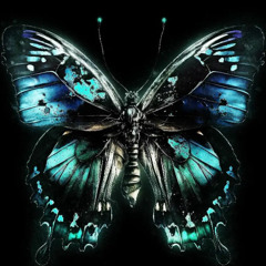 Head aega (21.08.23)