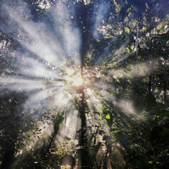 Enlightenment