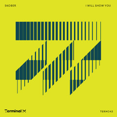 Premiere: Skober - I Will Show You [Terminal M]