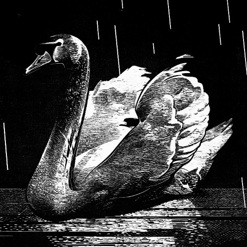 VOICE OF TONE - Failure To Return (Code Is Law 029) Snippets