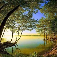 One With Nature