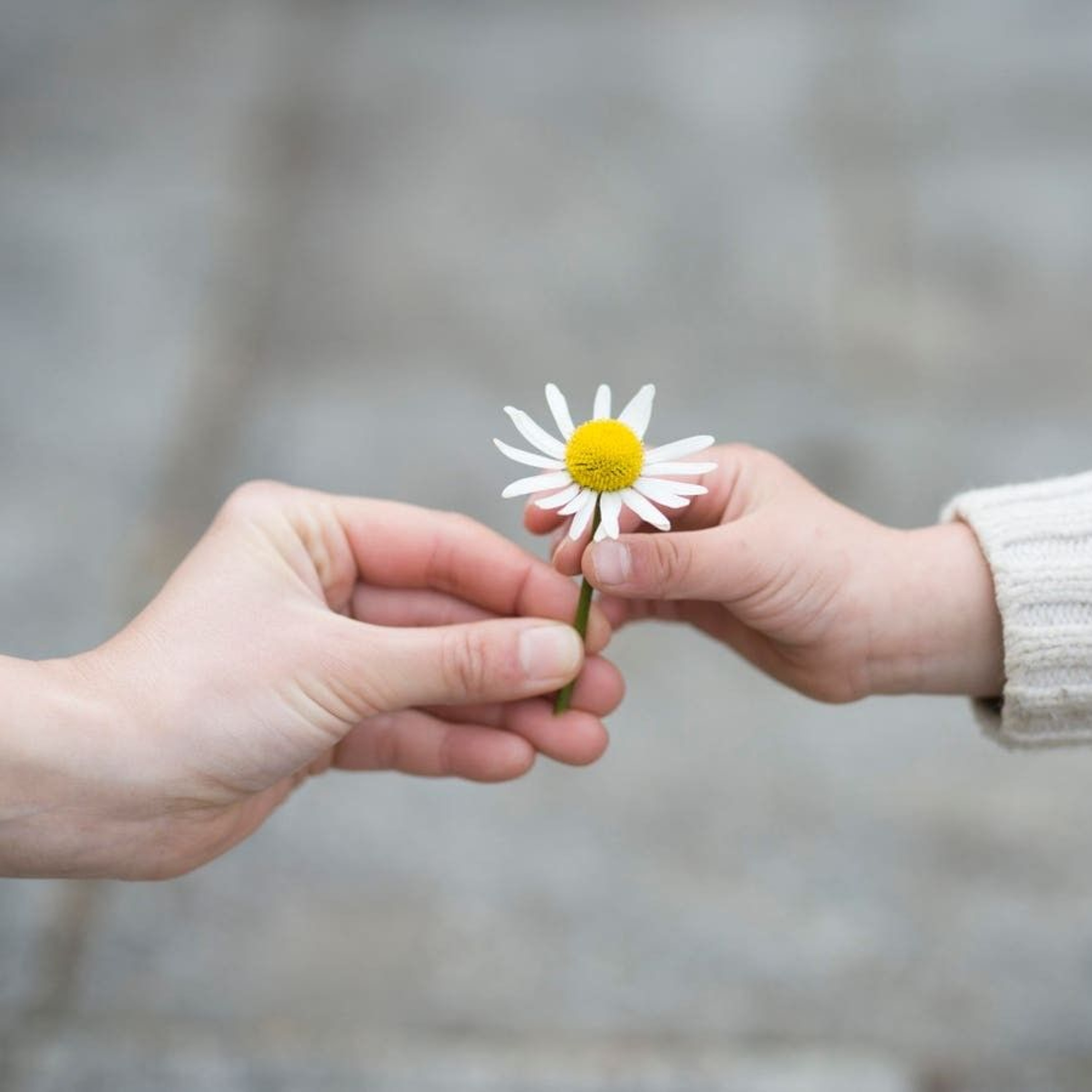 Shemot: Small Acts of Kindness episode artwork