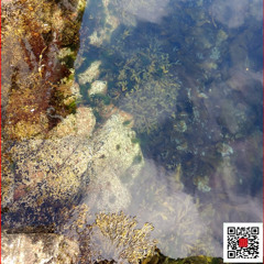 3-PENEDO (forte são joão)