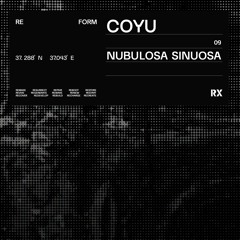 Coyu - Nubulosa Sinuosa (Original Mix) [RX Recordings]