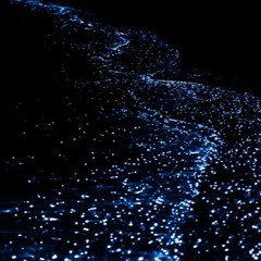Luminescence