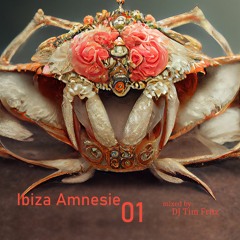 Ibiza Amnesie 01