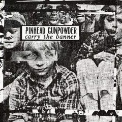 Felipe Caetano - I Used To (Pinhead Gunpowder cover)