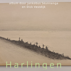 01-Harlingen