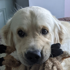 when the sun goes down