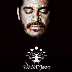 Wavemoon Live - Morto Vivo