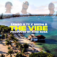 The Vibe -TY, Zambo & Breda B (Official Audio)