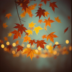 Zwischen Sommer & Herbst