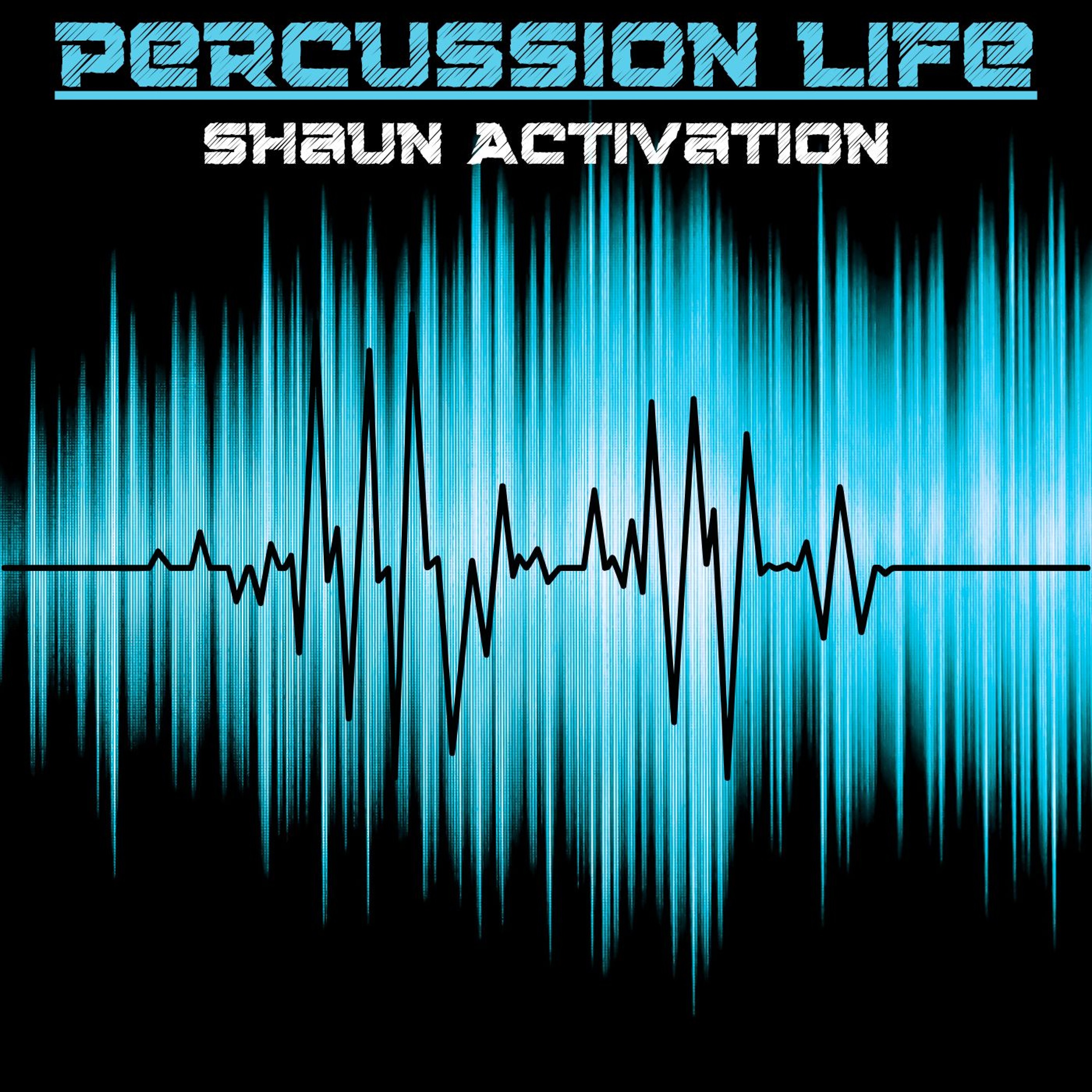 Shaun Activation
