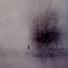 syris - girl i never met [breakcore remix]