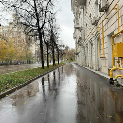 «Песня на бис», музыка Р. Паулса, слова И. Резника, исполняет Лев Слонимский .