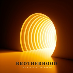 Tim North feat The DJALO - Brotherhood (original mix)