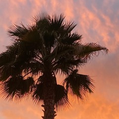 Cocktail Hour 3/17/23