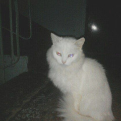 по глазам (prod. AngelChrome)