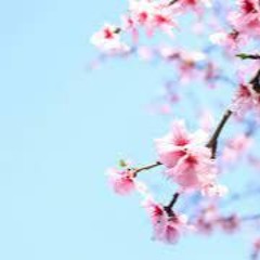 Sky's Spring Selections EP 1 ft. Muzz, Sub Focus, Wilkinson, & more.