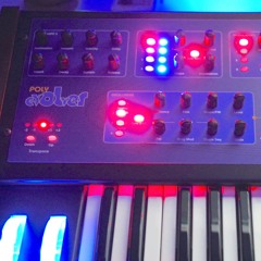 Poly Evolver Minimoog Voyager #tribute Edgar Froese's "Das verbotene Spiel" (The Forbidden  Game)