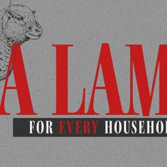 A Lamb For Every Household