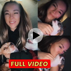 Stream Video: Logan Guminski Chihuahua Video Reddit Viral by Logan ...