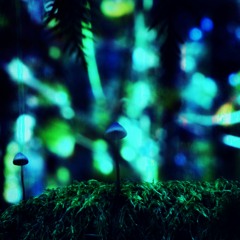 When She Came Along Remix