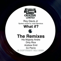 Roy Davis Jr. | What If? (Andrew Emil Acid Remix)