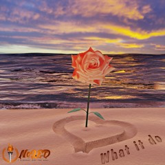 NoL.E.D - What it do