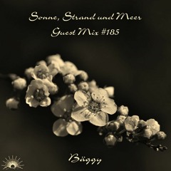 Sonne, Strand und Meer Guest Mix #185 by Bäggy