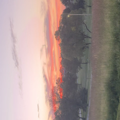 Sun Goes Down