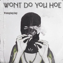 Wont Do You Hoe (prod. Hocii 808)