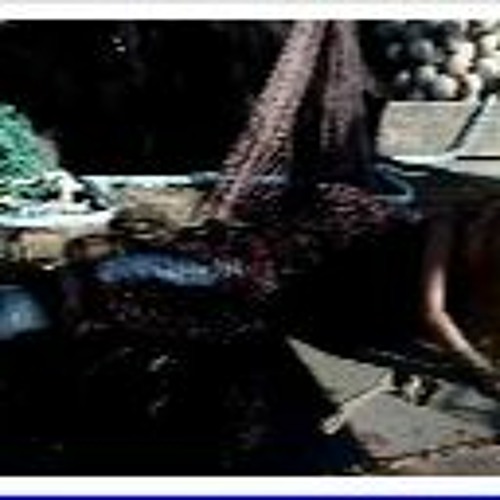 Mermaid down full movie watch online sales