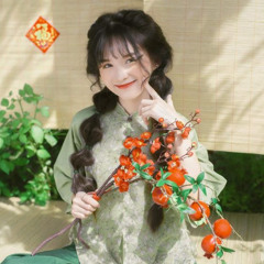 Tiếu Nạp (Zero Remix) Nhạc Tết 2025