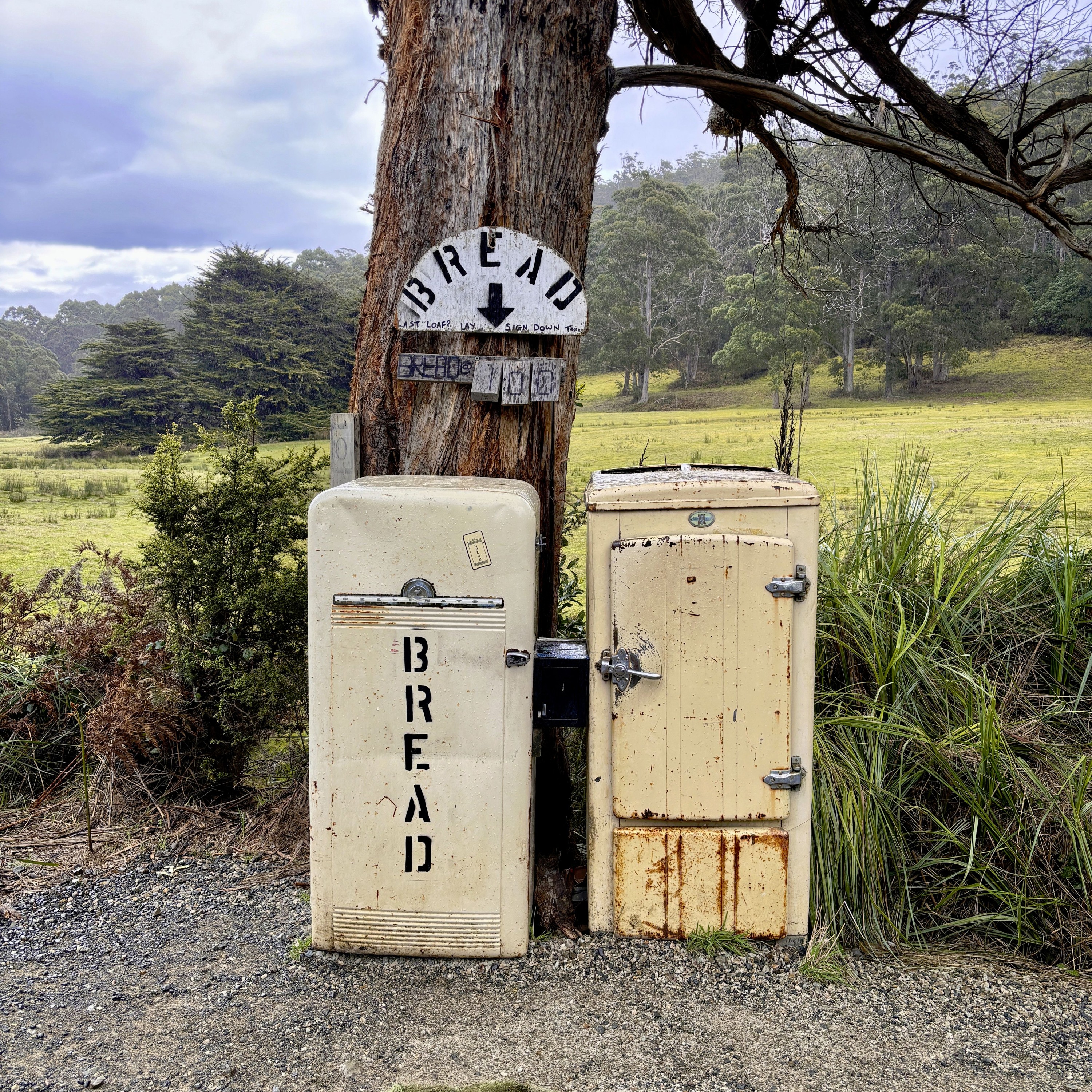 #Worth1000Words by Emily McAuliffe Bruny Bread Baker episode artwork
