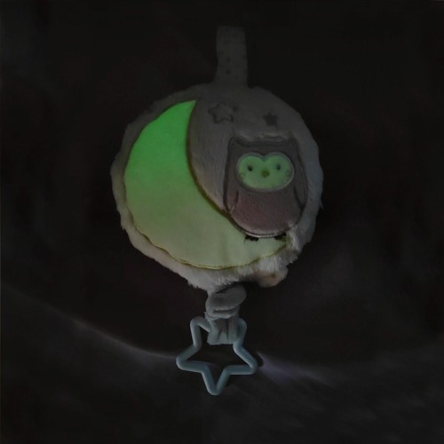 T3