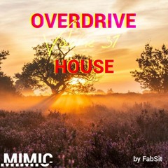 Overdrive Vol. 31 (House)