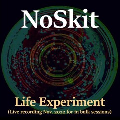 NoSkit - Life Experiment (Electro Instrumental Live Rec)