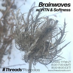 Threads X Plainpalais - Brainwaves With HTN And Softness