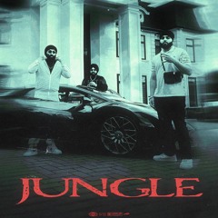 Jungle Feat BK (100 Bands) - Inderpal Moga & Mustard - Single - 2024