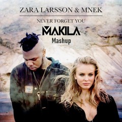 Zara Larsson - Never forget you (MAKILA Mashup)