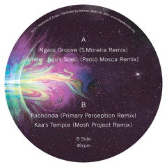 B1 - Ethereal Logic - Pachonda (Primary Perception Remix)