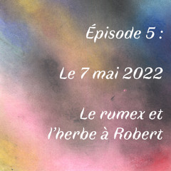 Episode 5 : Le 7 mai 2022, Le rumex et l'herbe à Robert
