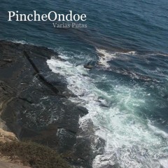 Pinche Ondoe - Varias Putas