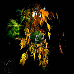 GHOST TRANSMISSIONS #81 - Samples Falling like Atonal Leaves