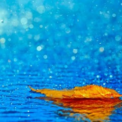 BarbagiaBarbalha top background (FREE DOWNLOAD)