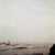 Artwork for fleet foxes - wading in waist high water (cover)