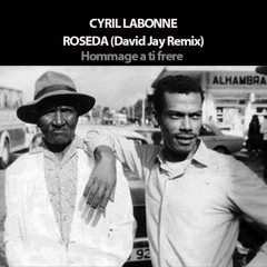 Cyril Labonne - Roseda (David Jay Remix)